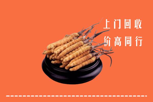 高价求购：阿里地区札达县回收散虫草