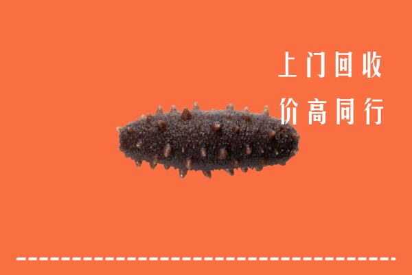 高价求购：阿里地区札达县回收海参