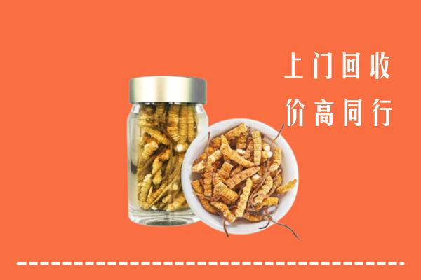 阿里地区札达县回收冬虫夏草